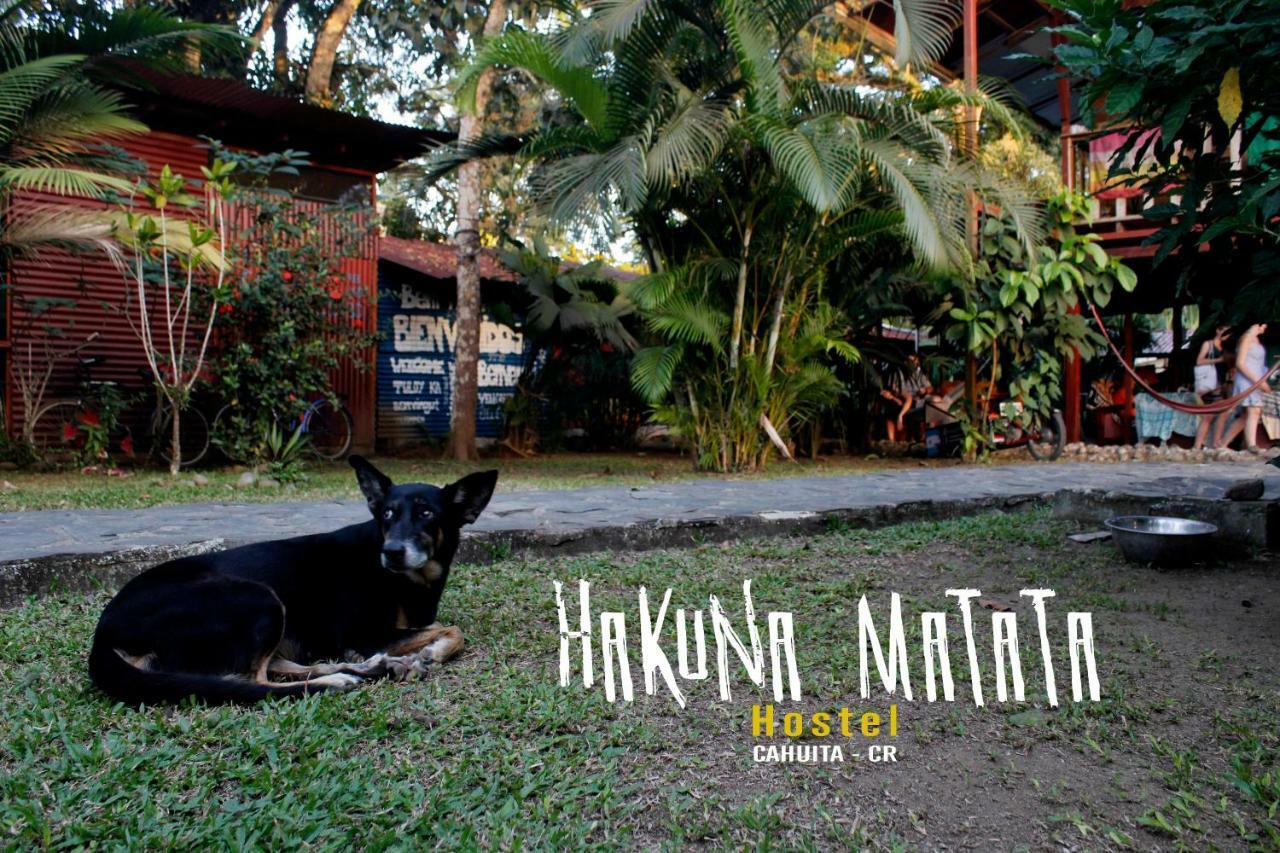 קאוויטה Hakuna Matata Hostel מראה חיצוני תמונה