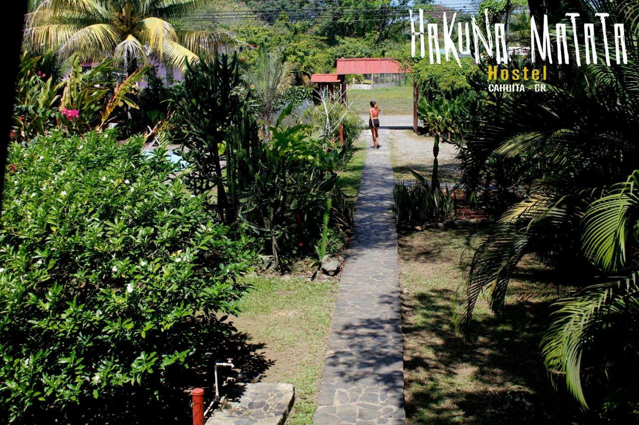 קאוויטה Hakuna Matata Hostel מראה חיצוני תמונה