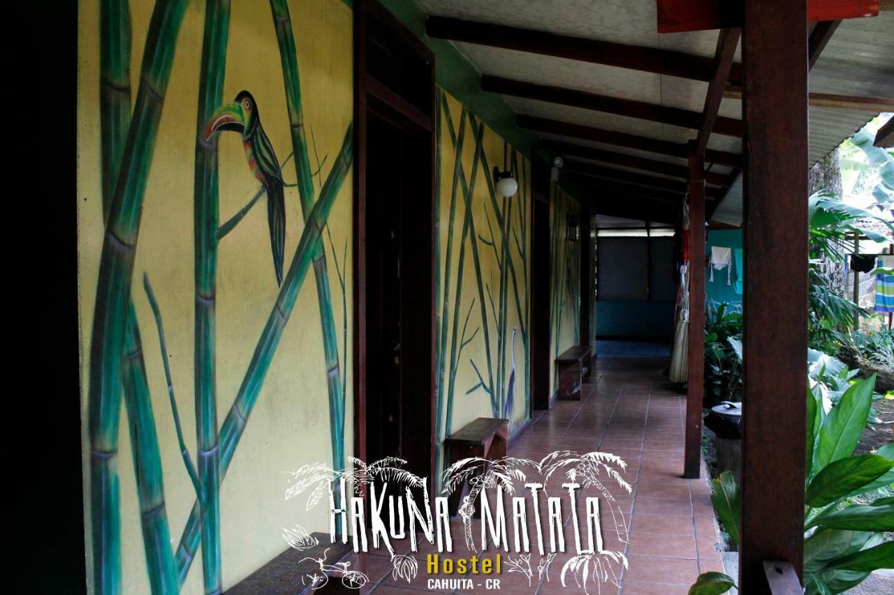 קאוויטה Hakuna Matata Hostel מראה חיצוני תמונה